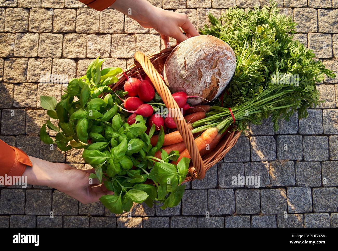 Mani che tengono un cestino con pane di pasta naturale e verdure fresche ed erbe, acquistate al mercato agricolo Foto Stock
