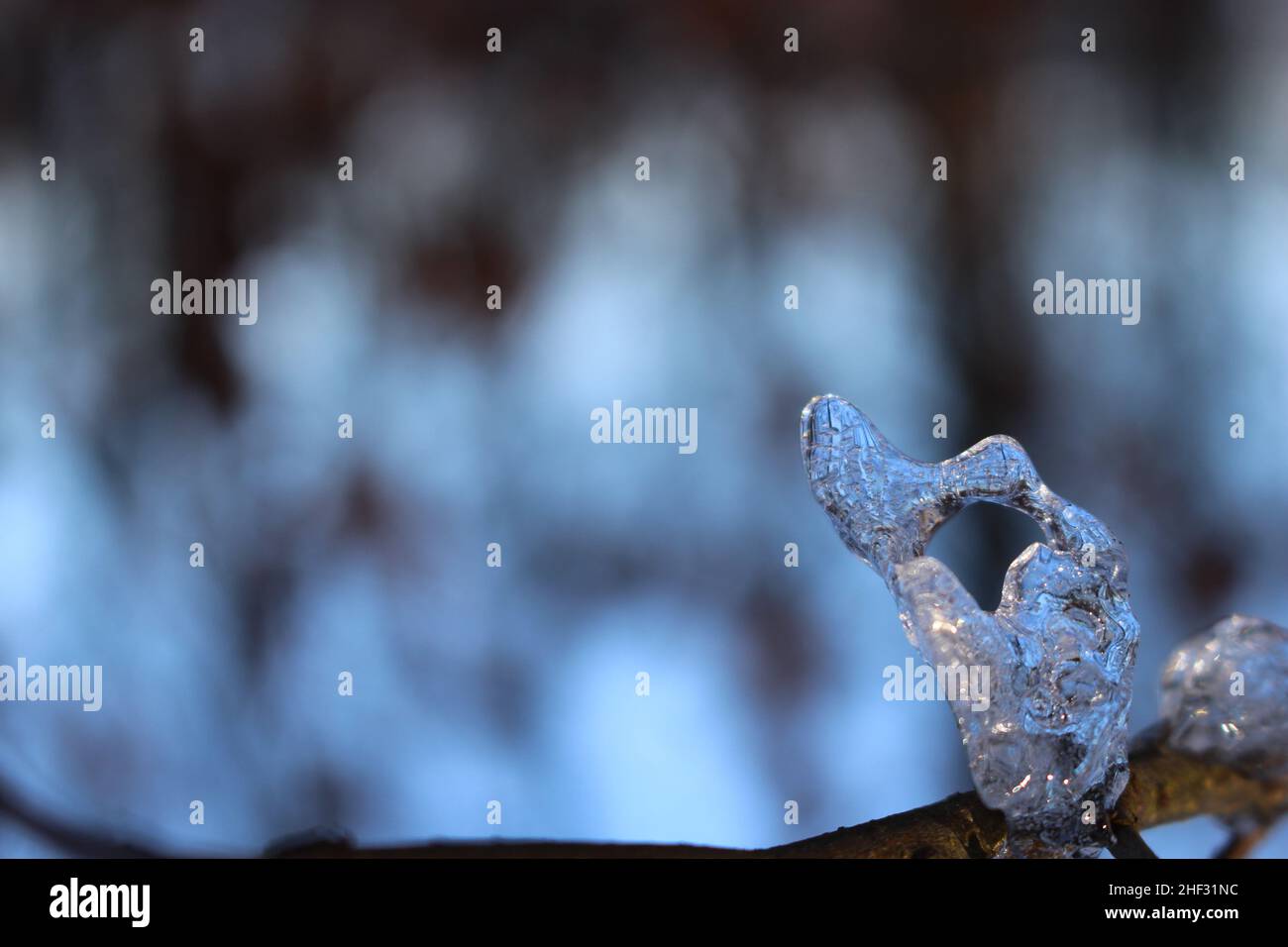 Icicle a forma di fiore congelato su un bastone. Splendido sfondo wintery sfondo sfondo screensaver bokeh. Concetto di ambiente congelato. Foto Stock