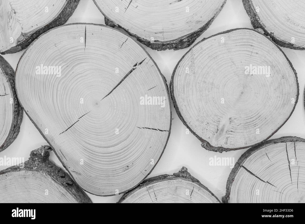 Annuale anelli di legno taglio superficie di legno Abstract Interior Design albero sfondo. Foto Stock