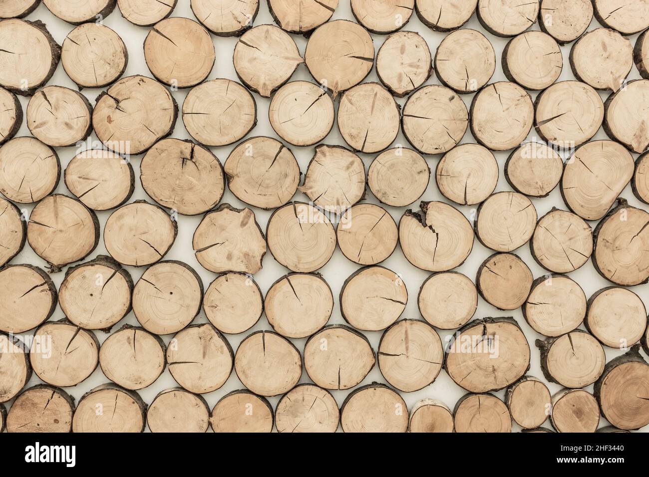 Annuale anelli di legno taglio superficie di legno Abstract Interior Design albero sfondo. Foto Stock