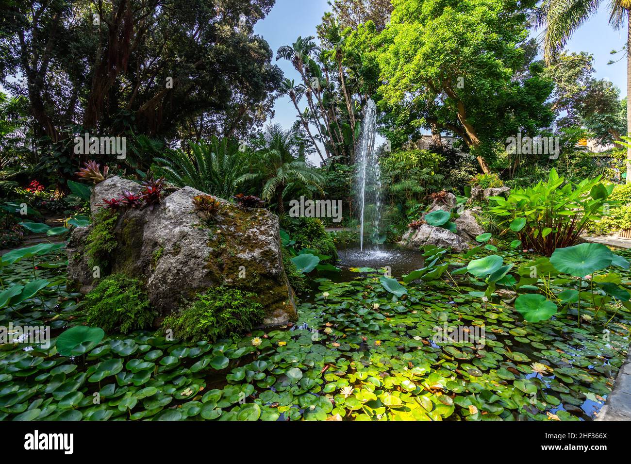 Vista su la Mortella, uno spettacolare giardino subtropicale e mediterraneo a Forio d'Ischia, Italia Foto Stock
