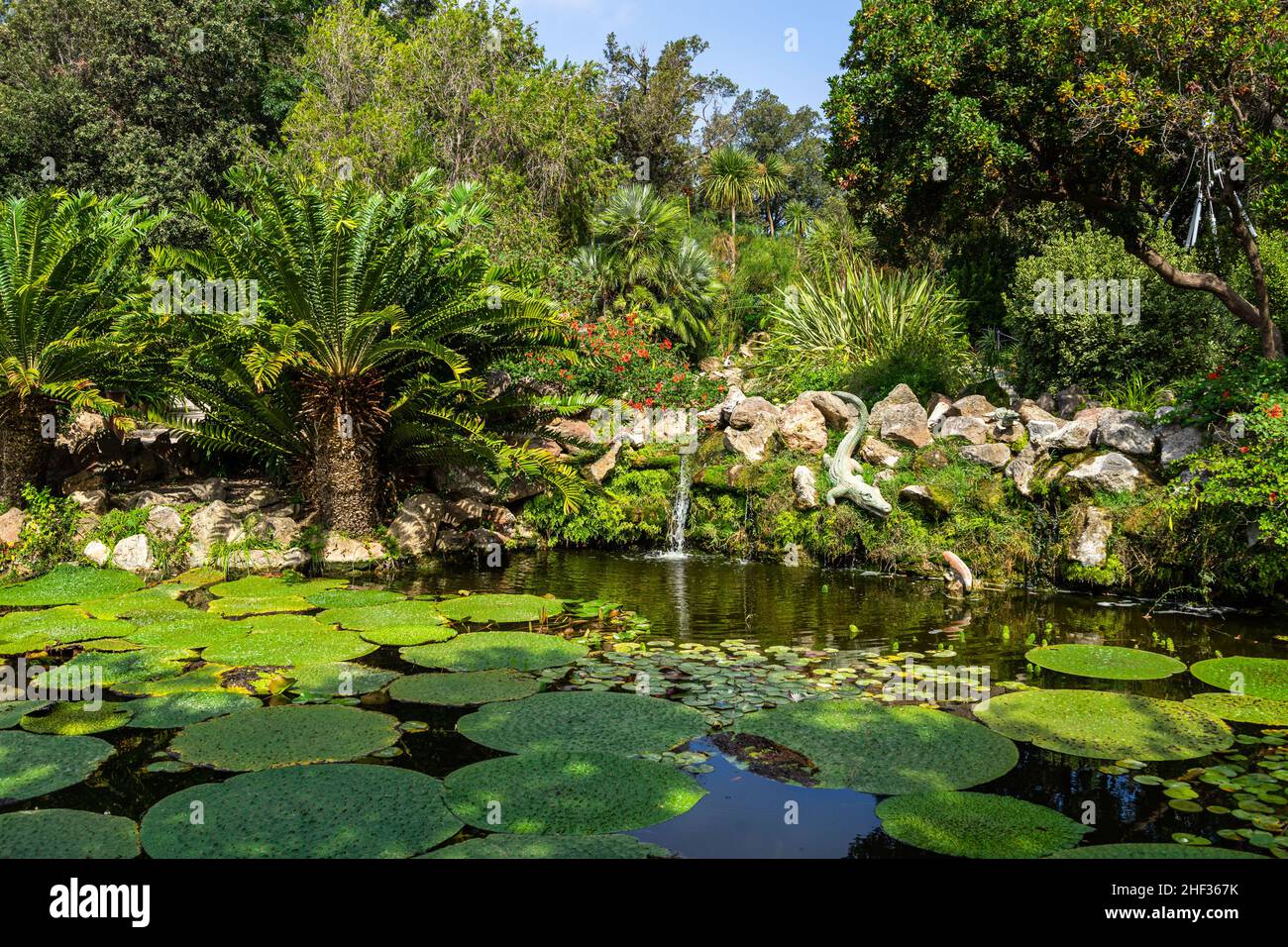 Il suggestivo laghetto di coccodrilli con piante acquatiche a la Mortella Garden, Forio, Ischia, Italia Foto Stock