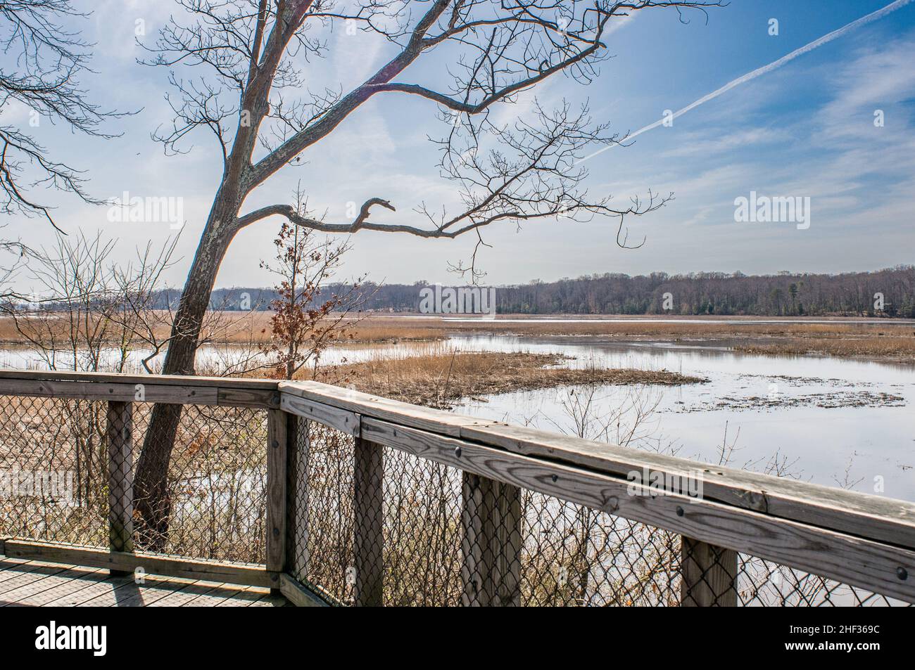 Vista dal lungomare che guarda la palude al Mason Neck National Wildlife Refuge di Elizabeth Hartwell, in inverno. Foto Stock