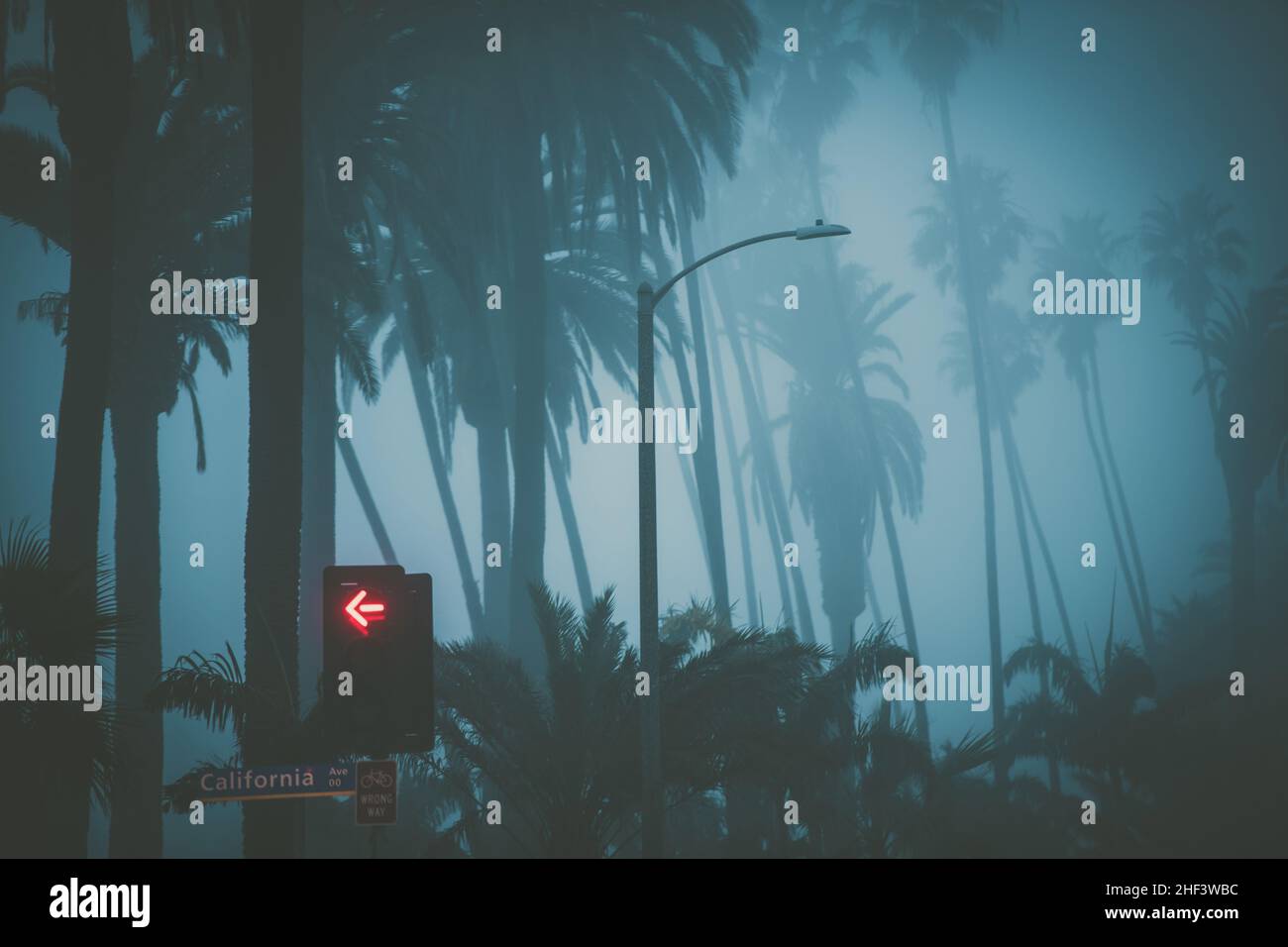 Santa Monica California Palms coperto da nebbia. Sfumatura colore blu della foto concettuale. Nebbia Coastal Meteo. Semafori. Foto Stock