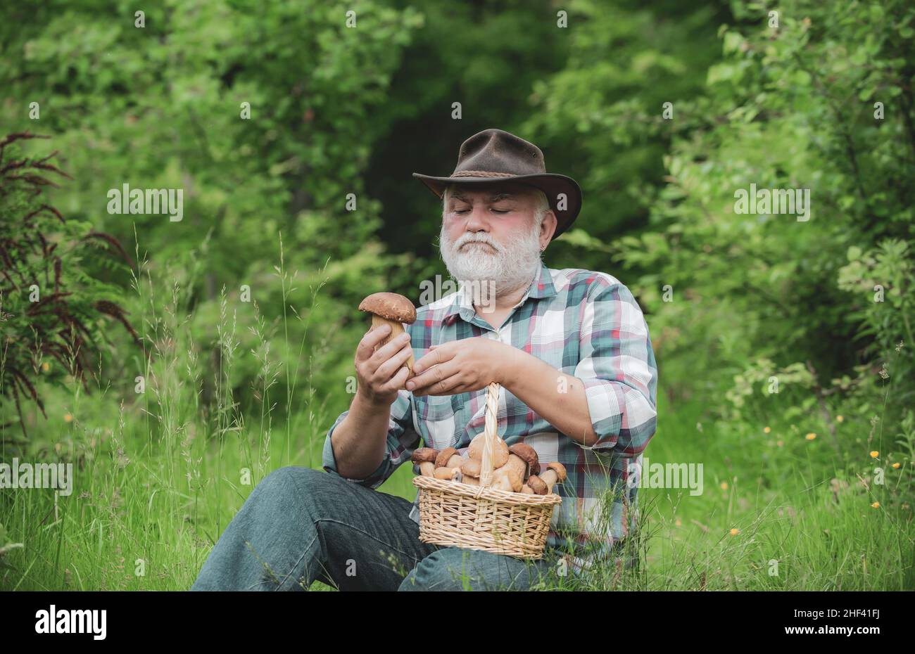 Buon nonno con funghi in buco caccia fungo. Pensionato con cestino di funghi e un'espressione del viso sorpresa. Foto Stock