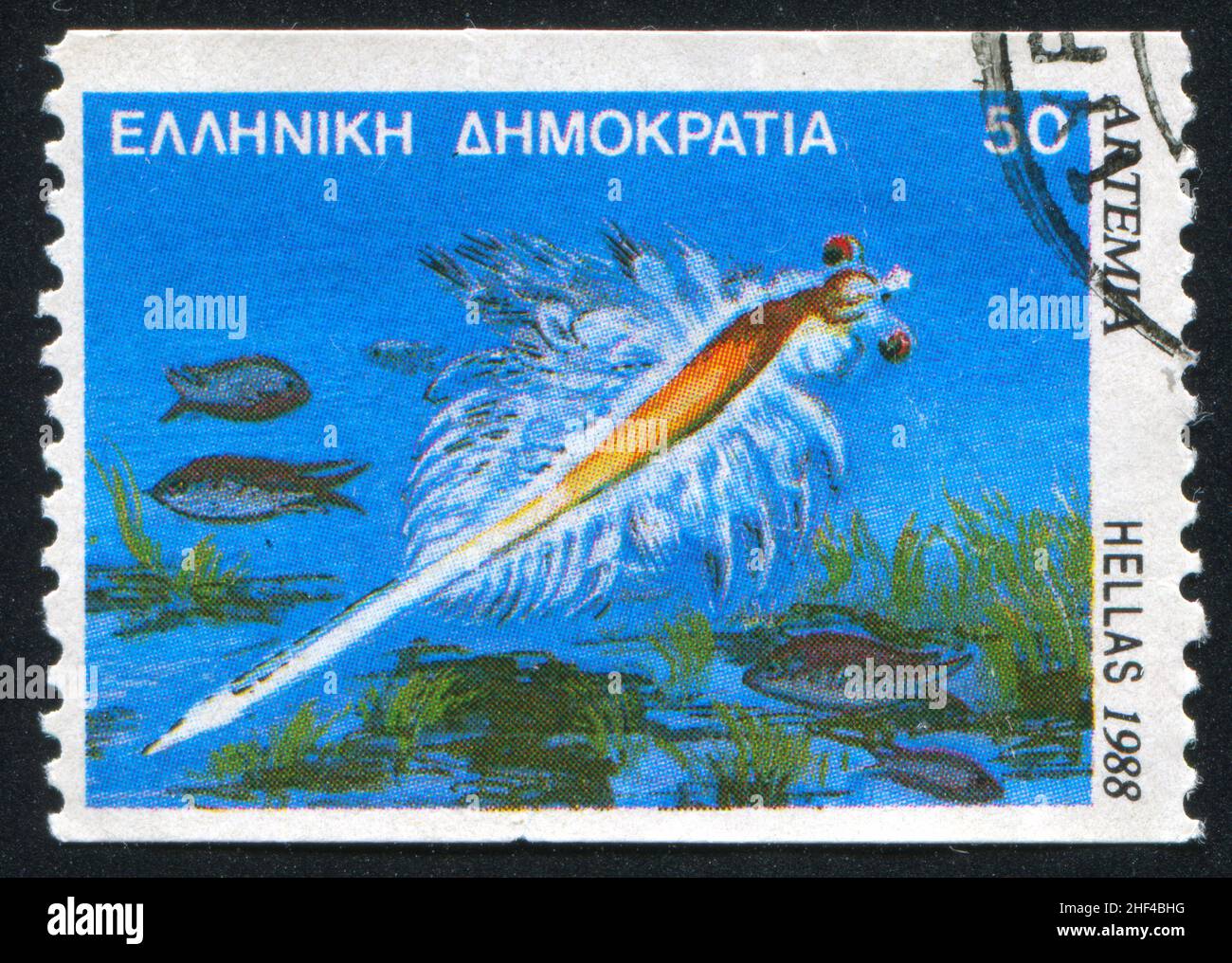 GRECIA - CIRCA 1988: Timbro stampato dalla Grecia, mostra Marine Life, artemia, circa 1988 Foto Stock