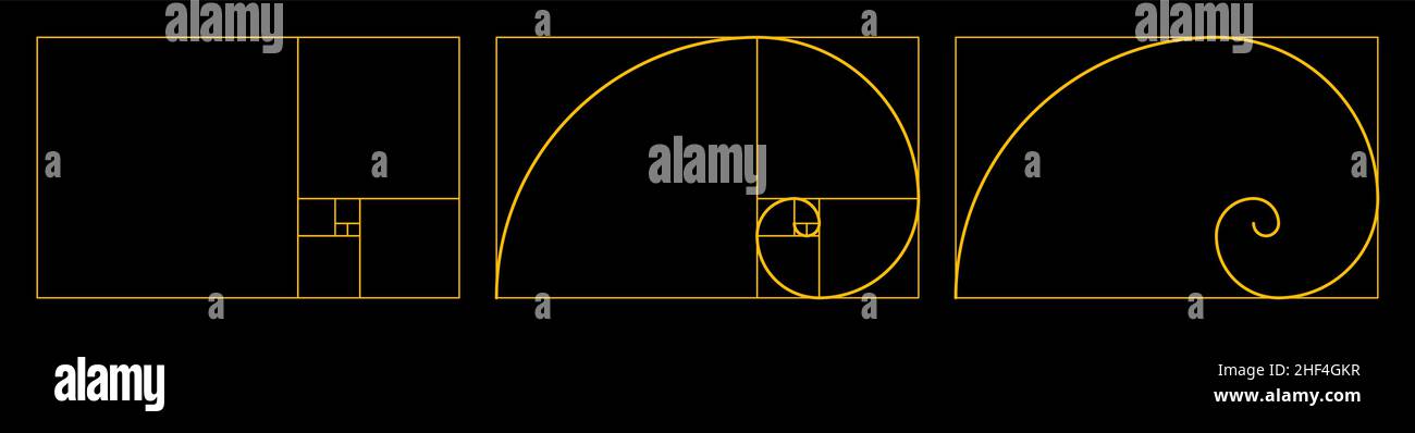 Golden ratio Fibonacci set. Illustrazione Vettoriale