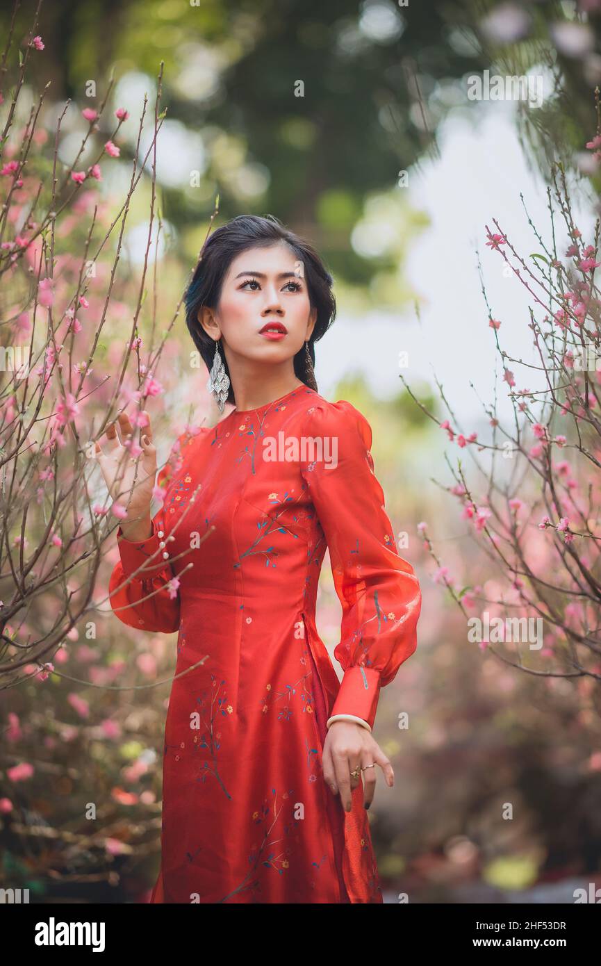 Ho Chi Minh City, Vietnam: Ragazza vietnamita che indossa ao dai in posa con fiori di pesca per celebrare il nuovo anno Foto Stock