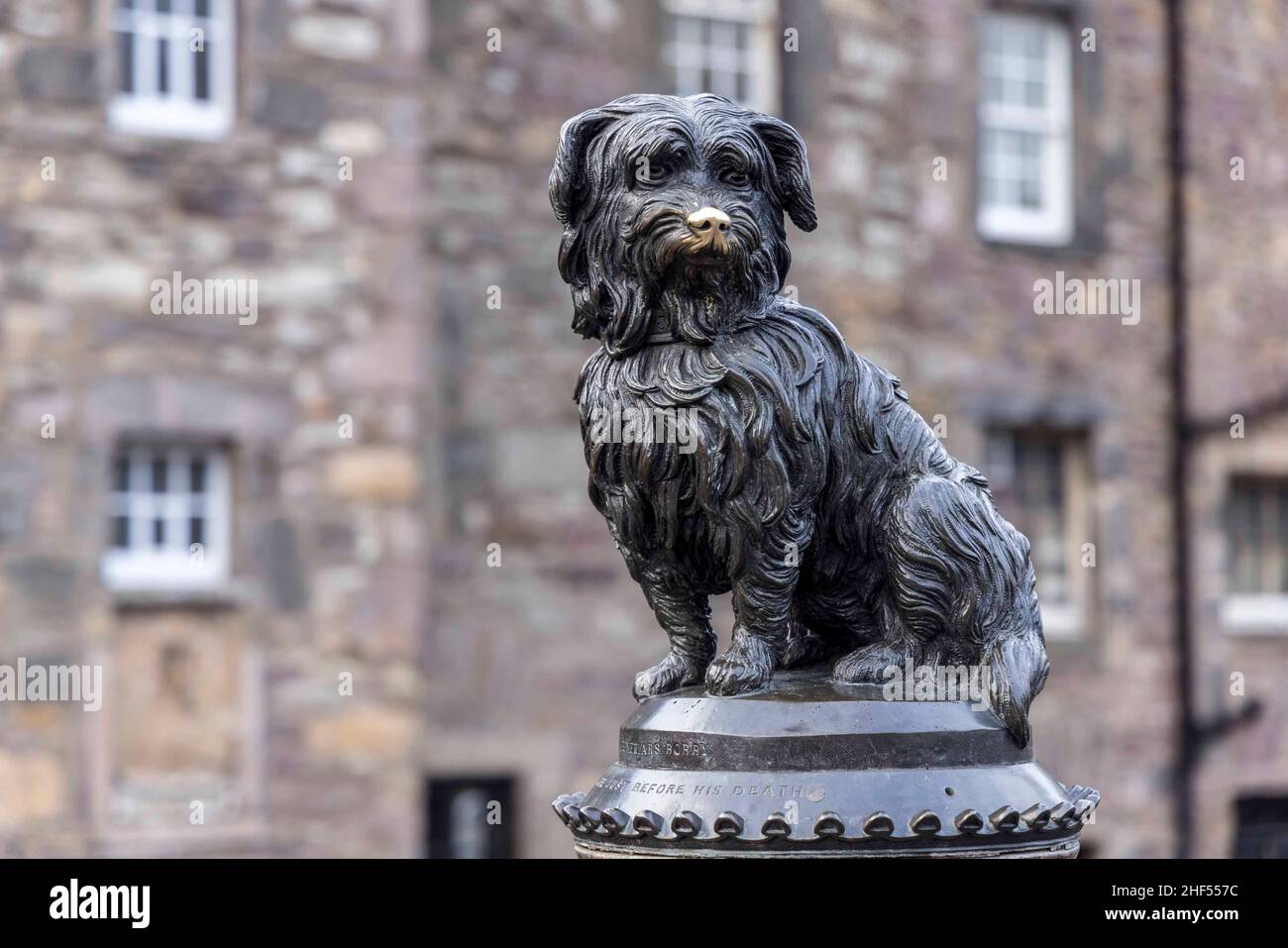 Edimburgo, Regno Unito. 14th Jan 2022. Nella foto: L'iconica statua di Bobby dei Greyfrars. Il 14 gennaio segna il 150th anniversario della morte del lSkye Terrier noto come Greyfrars Bobby. La leggenda è che il cane ha trascorso 14 anni a custodire la tomba del suo proprietario, John Gray, un uomo di polizia di Edimburgo e Nightwatchman. Credit: Rich Dyson/Alamy Live News Foto Stock