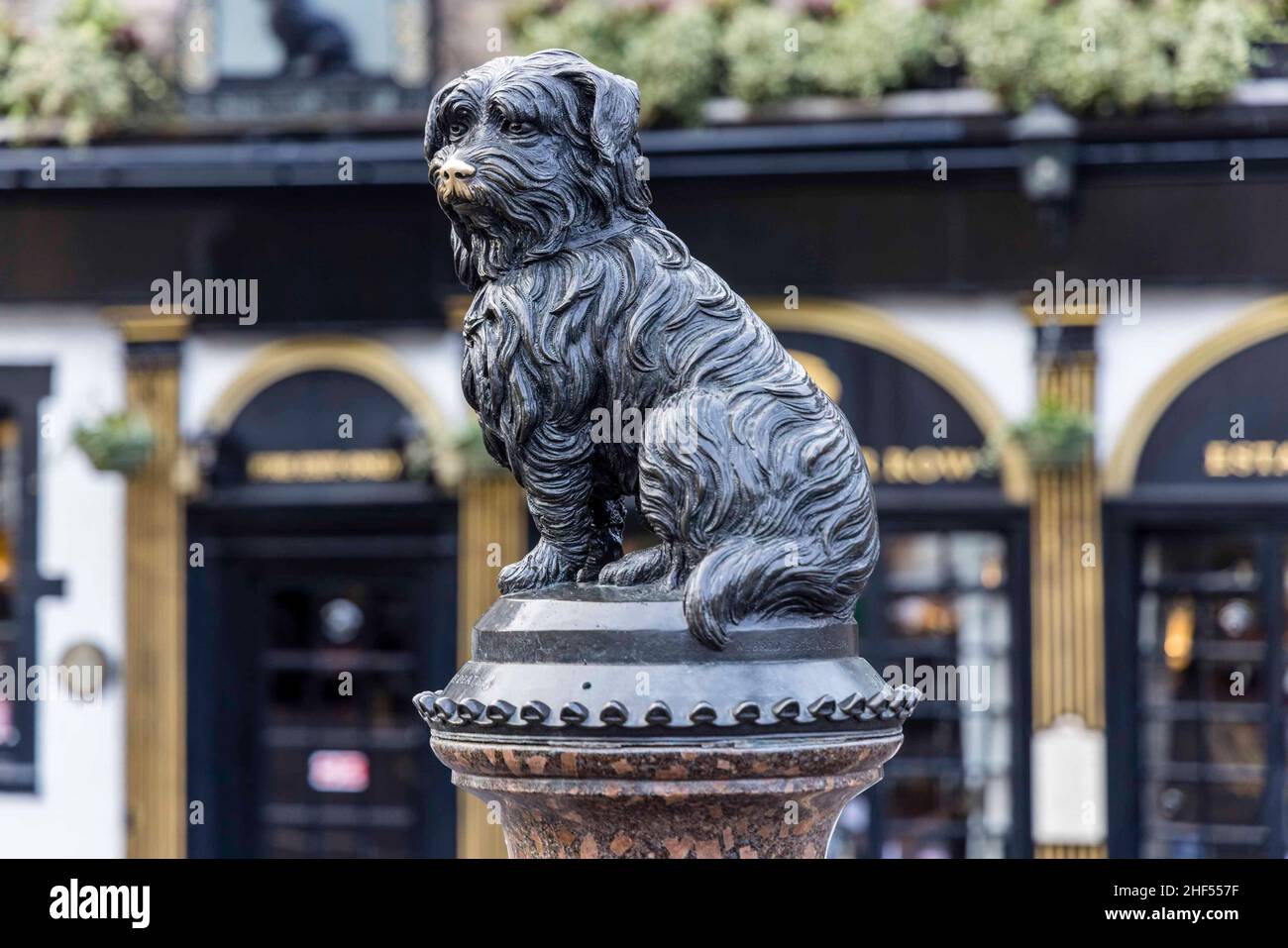 Edimburgo, Regno Unito. 14th Jan 2022. Nella foto: L'iconica statua di Bobby dei Greyfrars. Il 14 gennaio segna il 150th anniversario della morte del lSkye Terrier noto come Greyfrars Bobby. La leggenda è che il cane ha trascorso 14 anni a custodire la tomba del suo proprietario, John Gray, un uomo di polizia di Edimburgo e Nightwatchman. Credit: Rich Dyson/Alamy Live News Foto Stock