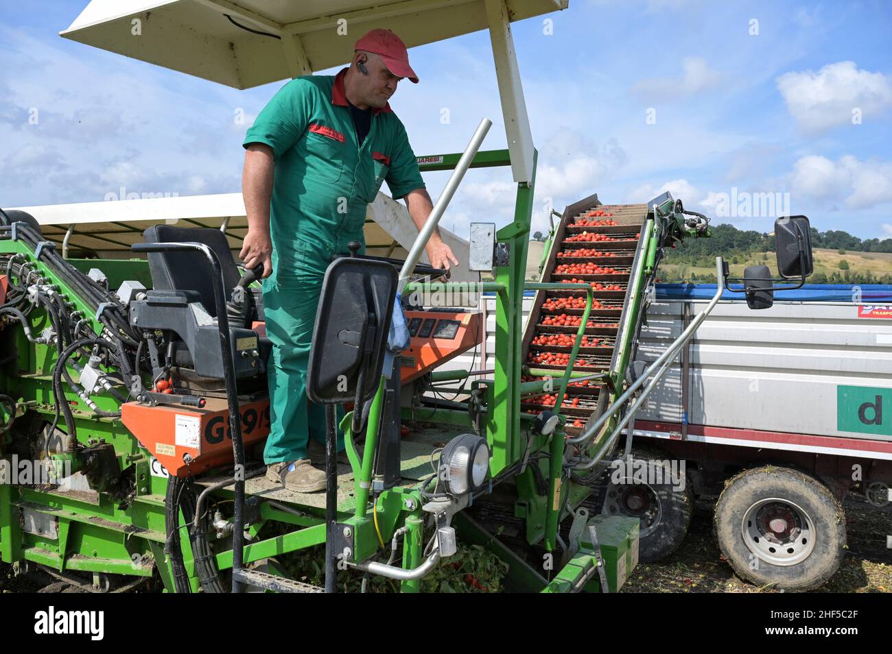 ITALIA, Parma, Basilicanova, coltivazione a contratto di pomodoro per la società Mutti s.p.a., raccolta con la vendemmia Guaresi, i pomodori prugnani raccolti vengono utilizzati per conserve di pomodoro, polpo, passata e concentrato di pomodoro / ITALIEN, Tomaten Vertragsanbau fuer Firma Mutti spa, die geernteten Flaschentomaten werden anschliessend zu Dosentomert, Passerbeaten und Tomveraten und Tomserenaten und Tomverserenaten und Tomverkonaten und alles 100 Prozent Italien Foto Stock