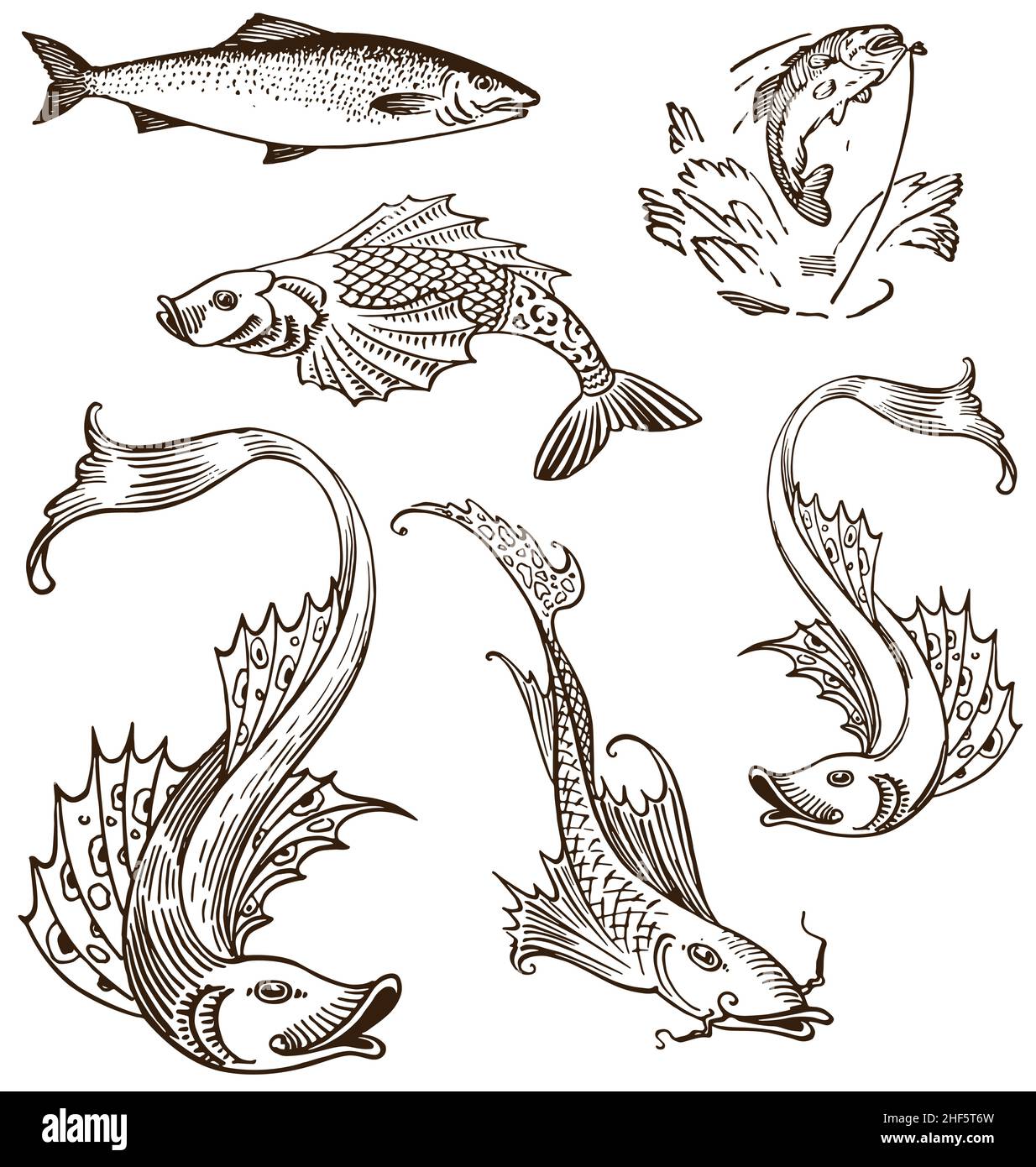 Vari esemplari retrò vintage antico pesce set vettore isolato su sfondo bianco Illustrazione Vettoriale