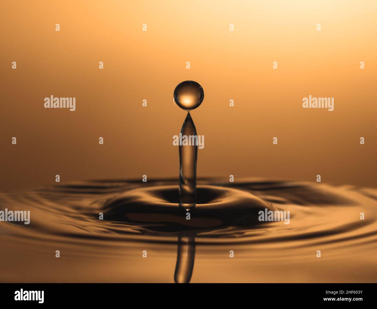 Foto macro di gocce d'acqua che cadono in un pool d'acqua, causando uno spruzzo. Tecnica di fotografia flash ad alta velocità utilizzata per congelare l'azione. Golden ba Foto Stock