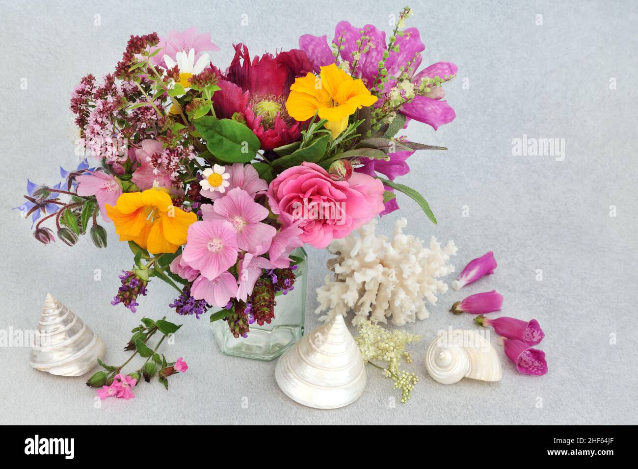 Bella estate fiore e erbe ancora vita disposizione con madre di perle conchiglie. Su sfondo grigio chiazzato. Tutta la flora utilizzata in erbe naturali p Foto Stock