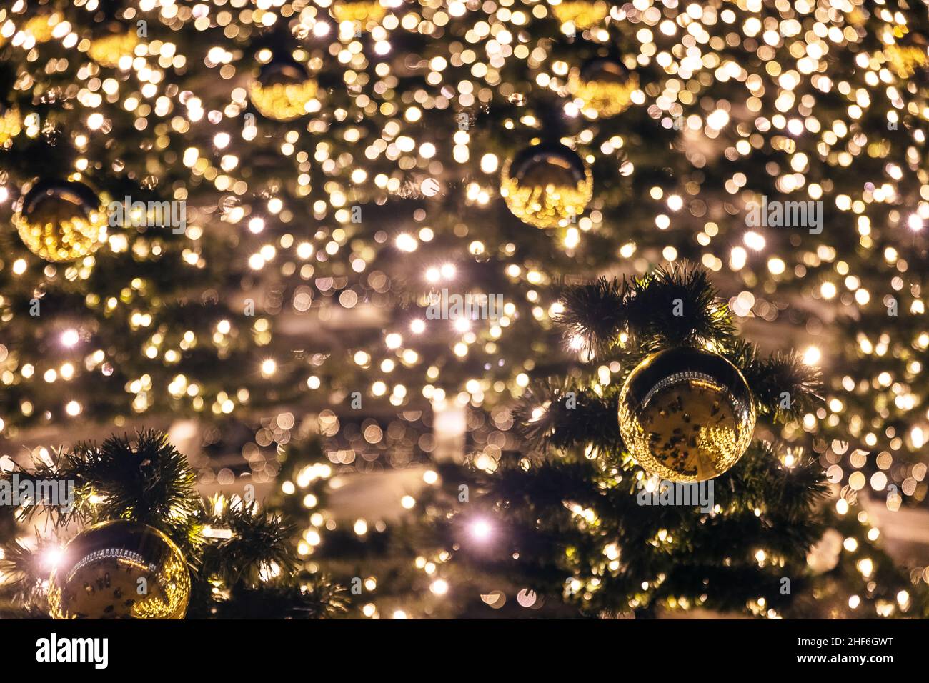 Albero di Natale nel parco, decorato con luci Foto Stock