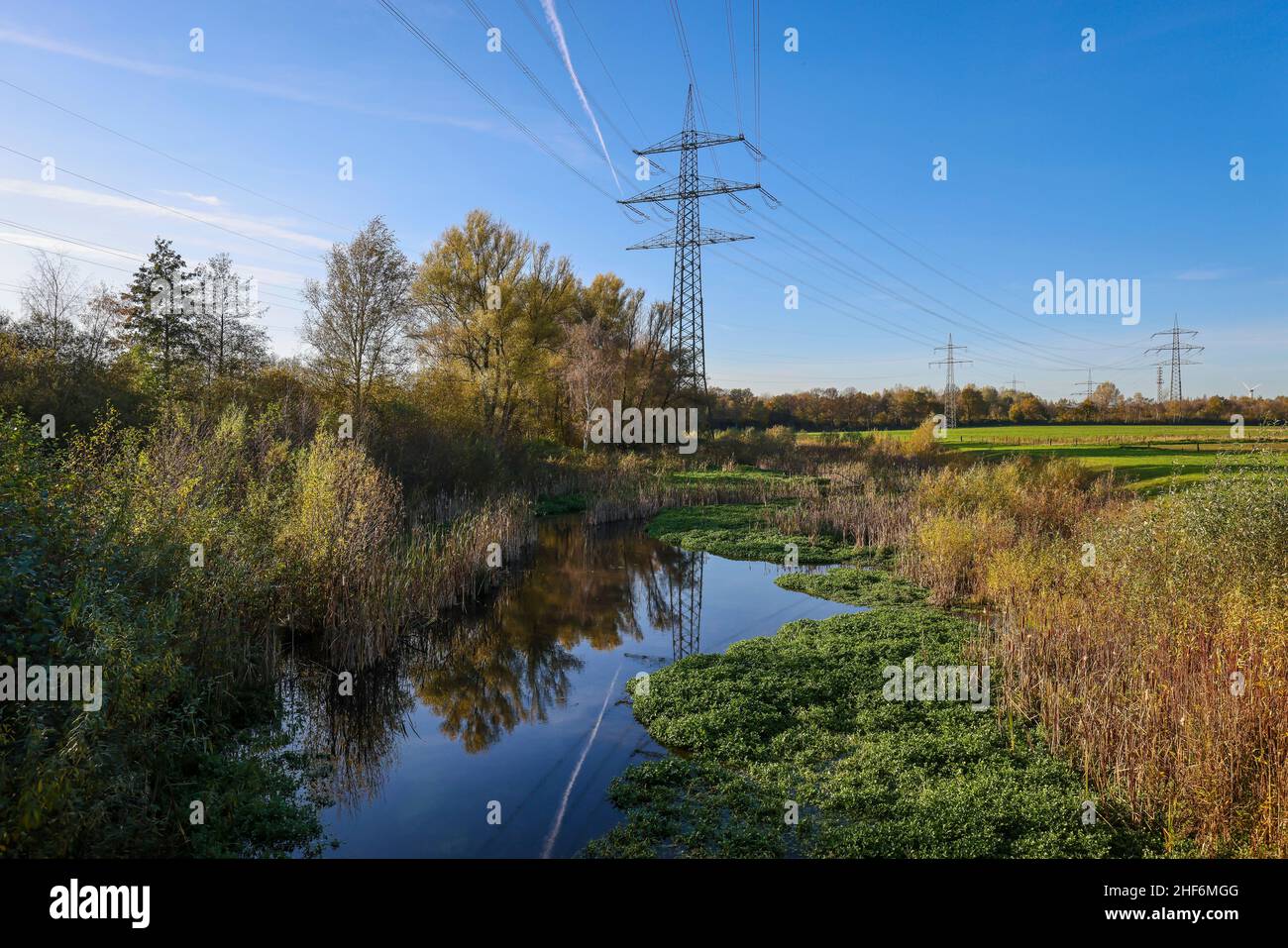 Bottrop, Renania settentrionale-Vestfalia, Germania, ha rinaturato Boye in autunno d'oro, il affluente dell'Emscher, è stato trasformato in un corpo idrico quasi naturale, protezione contro le alluvioni attraverso nuove aree di alluvione, il Boye è ora privo di acque reflue dopo la costruzione di una fogna parallela, Appartiene al sistema Emscher e fluviale quindi per la conversione Emscher, vi era in precedenza una fognatura aperta, sopra-terra, fognatura mista acqua con acque superficiali e fognarie, piloni di elettricità al retro. Foto Stock