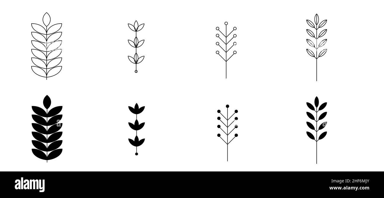 Set di piante astratte. Silhouette. Collezione piante isolate disegnate a mano, botaniche e curative. Herbes design template.Twigs e foglie con abstract Foto Stock