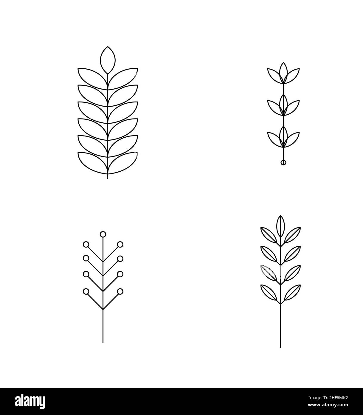 Set di piante astratte. Silhouette. Collezione piante isolate disegnate a mano, botaniche e curative. Herbes design template.Twigs e foglie con abstract Foto Stock