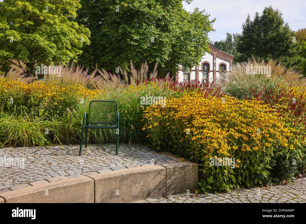 Hamm, Renania settentrionale-Vestfalia, Germania, i fiori fioriscono nel giardino perenne di Maximilianpark. Il Maximilianpark, nella città di Hamm, è un parco divertimenti costruito sul sito della disutilizzata colliria Massimiliana sin dallo spettacolo orticolo dello stato del 1984. Foto Stock