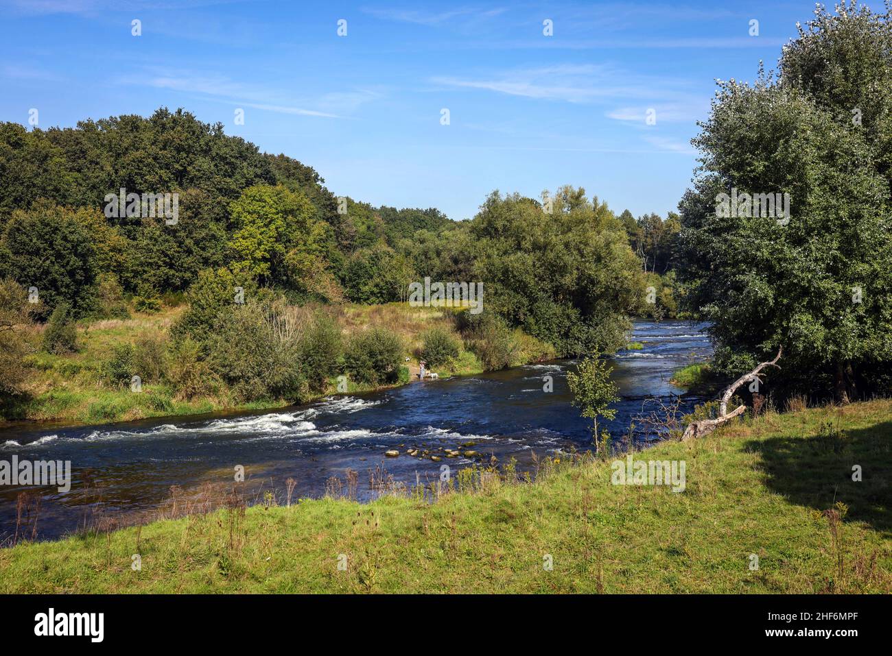 Datteln, Renania Settentrionale-Vestfalia, Germania, Lippe, sviluppo del fiume e della pianura alluvionale della Lippe vicino Haus Vogelsang, un paesaggio fluviale quasi naturale è stato creato qui, un ecosistema intatto della pianura alluvionale fiume restaurato con protezione dalle inondazioni attraverso le aree alluvionali di nuova progettazione. Foto Stock