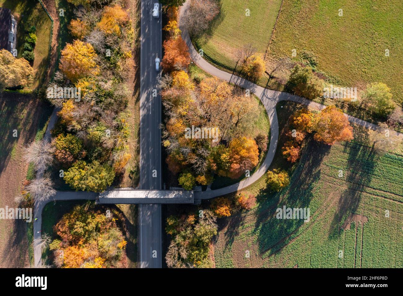Vista dall'alto in basso in un paesaggio autunnale con una strada rurale e un ponte coperto per i pedestiani direttamente dall'alto in Oberhaching Foto Stock