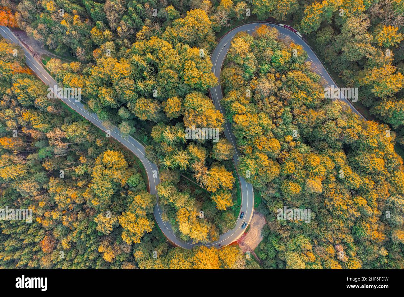 Vista dall'alto verso il basso in una foresta autunnale con una doppia curva e automobili di guida Foto Stock
