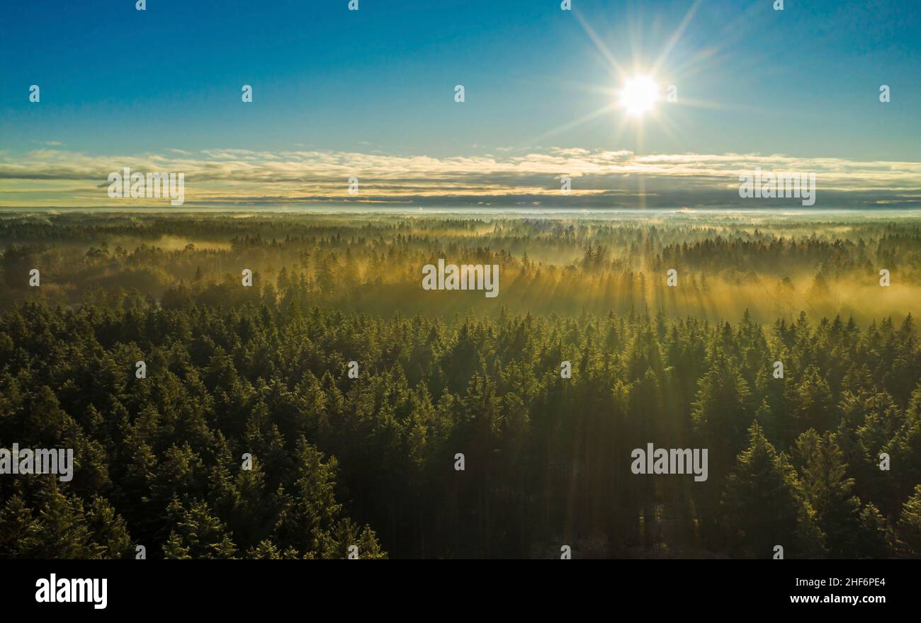 Fitta nebbia su un'ampia foresta mentre il sole splende e riscalda gli alberi, bel momento della natura Foto Stock