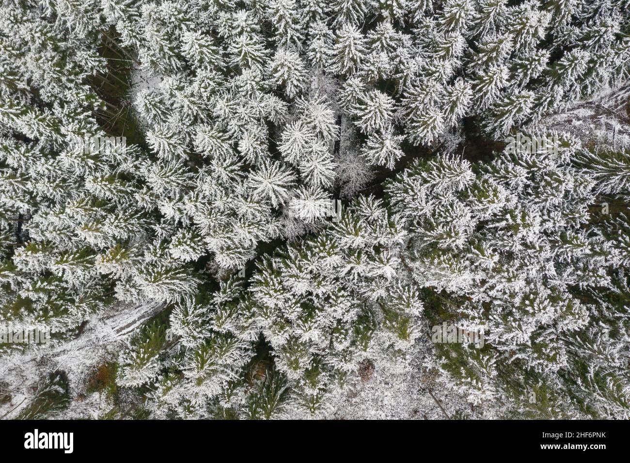 Foresta d'inverno come colpo dall'alto verso il basso, direttamente dall'alto la vista alle cime bianche degli alberi divise da una strada di campagna nel centro diagonale Foto Stock