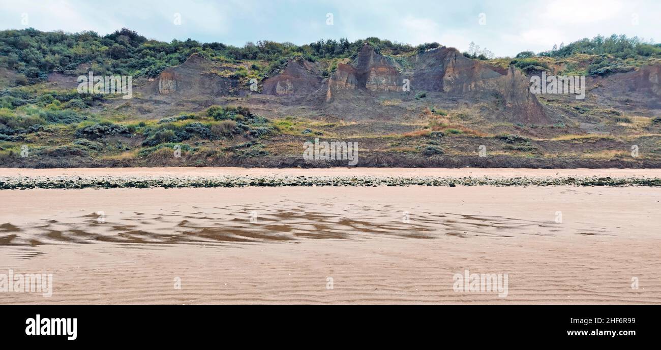 Falaises des Vaches Noires (Black Cows Cliffs) zona di scoperta fossile sulla spiaggia di Houlgate, Normandia, Francia Foto Stock