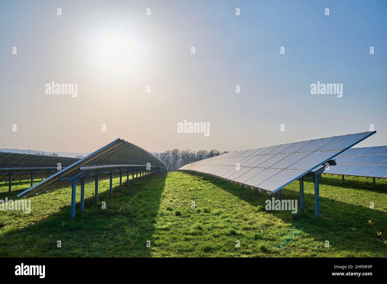 Campo solare, energia solare, energia rinnovabile, cielo, senza nuvole, dom Foto Stock