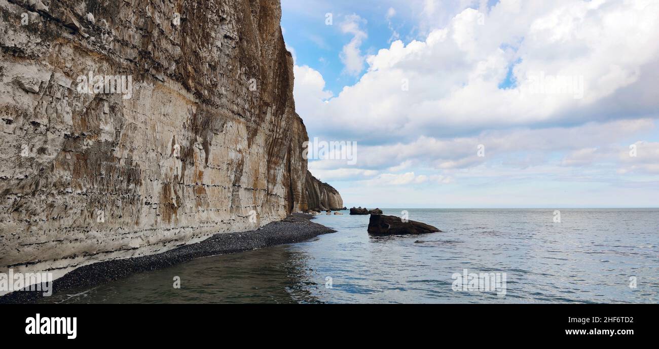 Alta marea a mezzogiorno, le scogliere di gesso verticale sono caratteristiche della Costa d'Albatre, Quiberville Plage, Francia, Normandia, Foto Stock