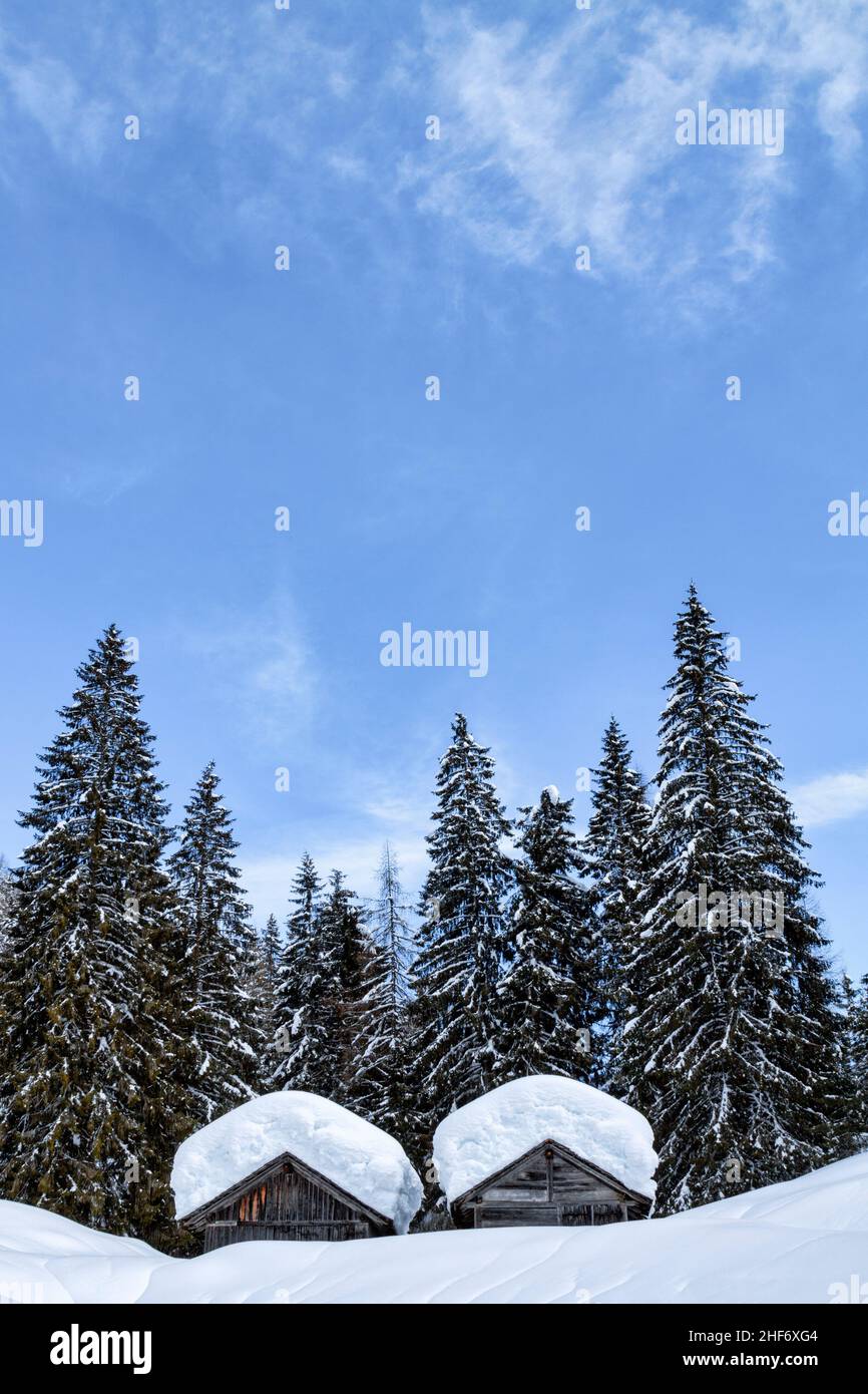 Due capanne di tronchi tra gli alberi in un bosco innevato, Lorenzago di Cadore, Passo della Mauria, Provincia di Belluno, Veneto, Italia Foto Stock