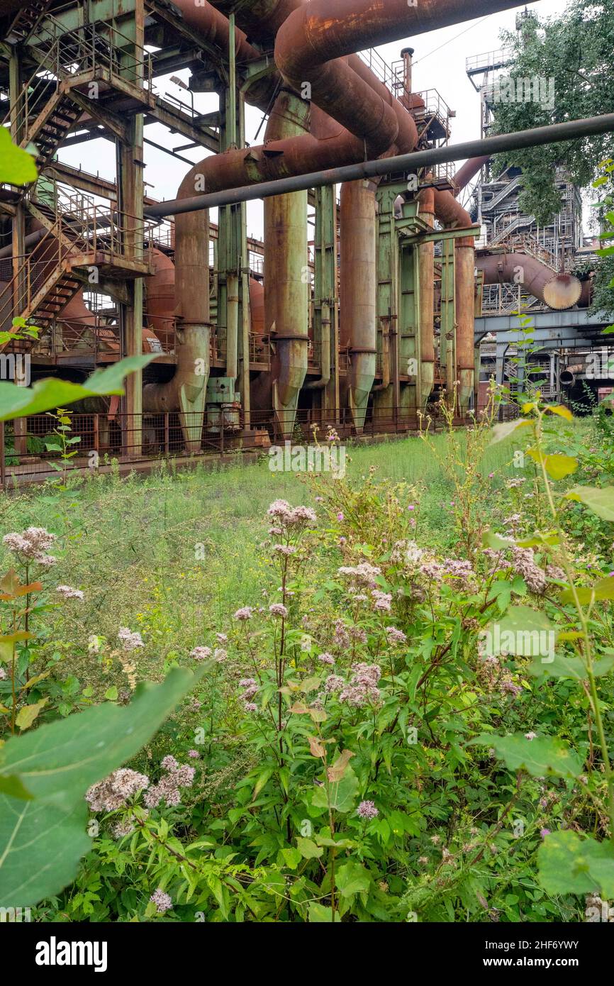 Duisburg, Landscape Park Duisburg-Nord, zona della Ruhr, Renania settentrionale-Vestfalia, Germania Foto Stock