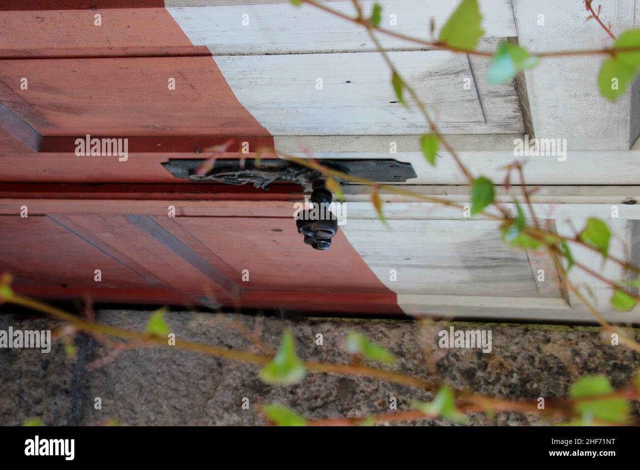Maniglia per porta ricurva artfully, foglia di porta bianco-rosso, vecchia, laterale, tendini di piante in primo piano, Absam, Hall, Tirolo, Austria Foto Stock
