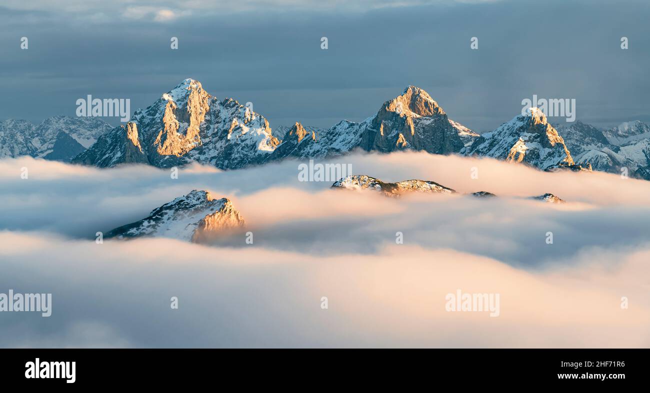 Le cime del Tannheimer Gruppe con Köllenspitze, Gimpel e Rote Flüh sorgono da un mare di nuvole nella calda luce della sera. Allgäu Alpi, Tirolo, Austria, Europa Foto Stock