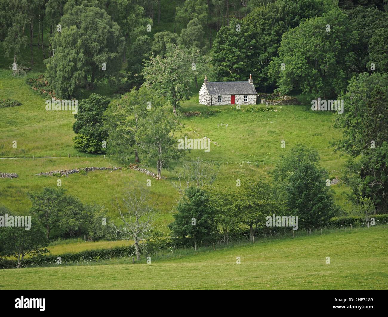 Paesaggio estivo caratterizzato da grazioso cottage bianco vernacolare con porta rossa in mezzo a boschi rigogliosi e prati verdeggianti su collina nel Perthshire, Scozia, Regno Unito Foto Stock