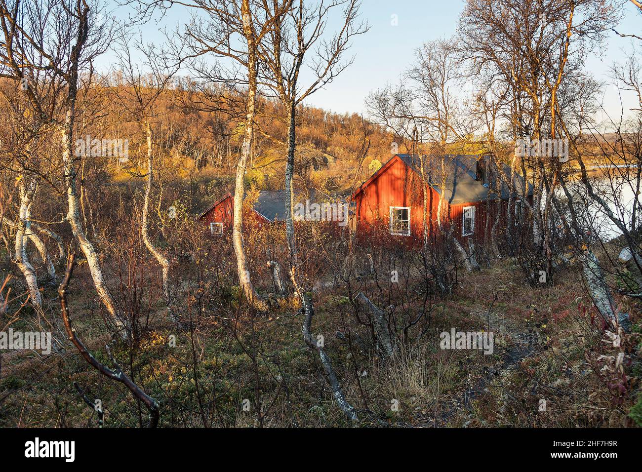 Svezia, Lapponia, Abisko, alba a Torneträsk, rifugio Foto Stock