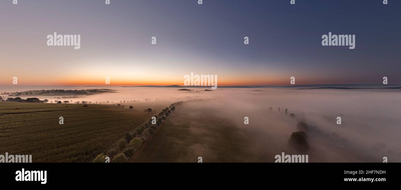 Germania, Turingia, Großbreitenbach, Böhlen, un viale e colline e montagne isolate sporgono da un mare di nebbia, alba, vista aerea, panorama Foto Stock