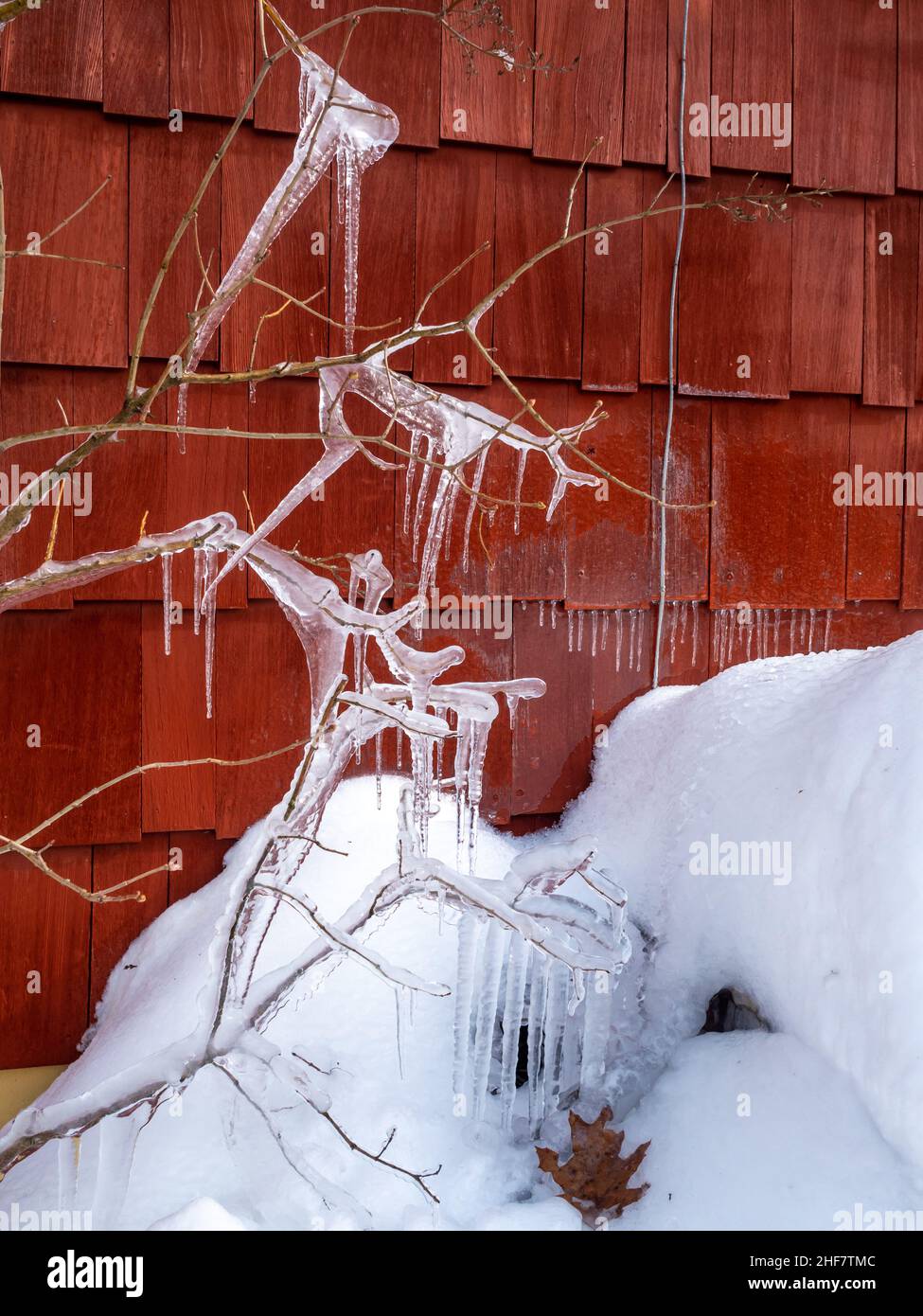 ghiaccioli nel cortile coperto di neve dopo la tempesta di neve in inverno Foto Stock