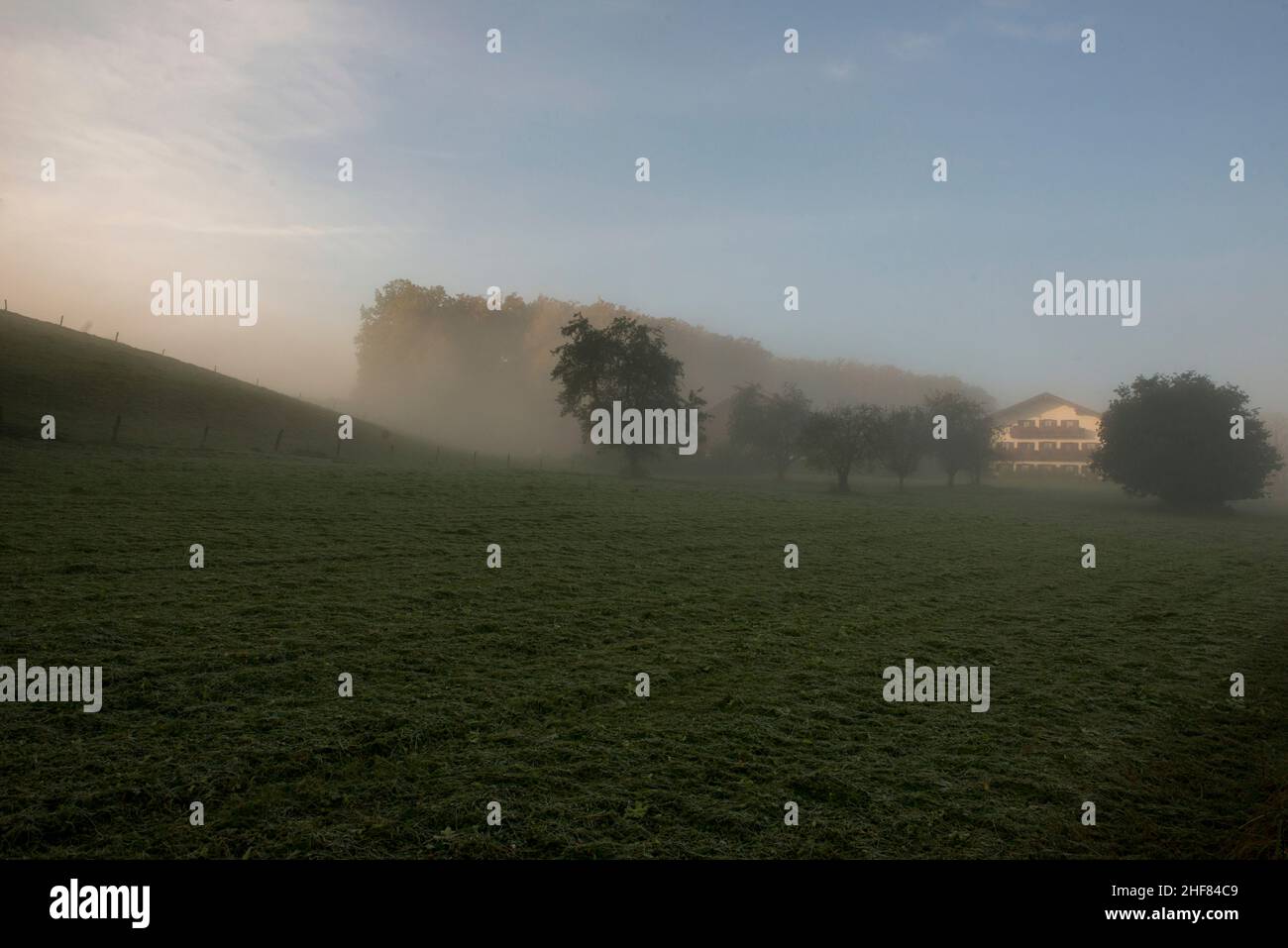 Luce del mattino, nebbia precoce, alta Baviera, break Foto Stock