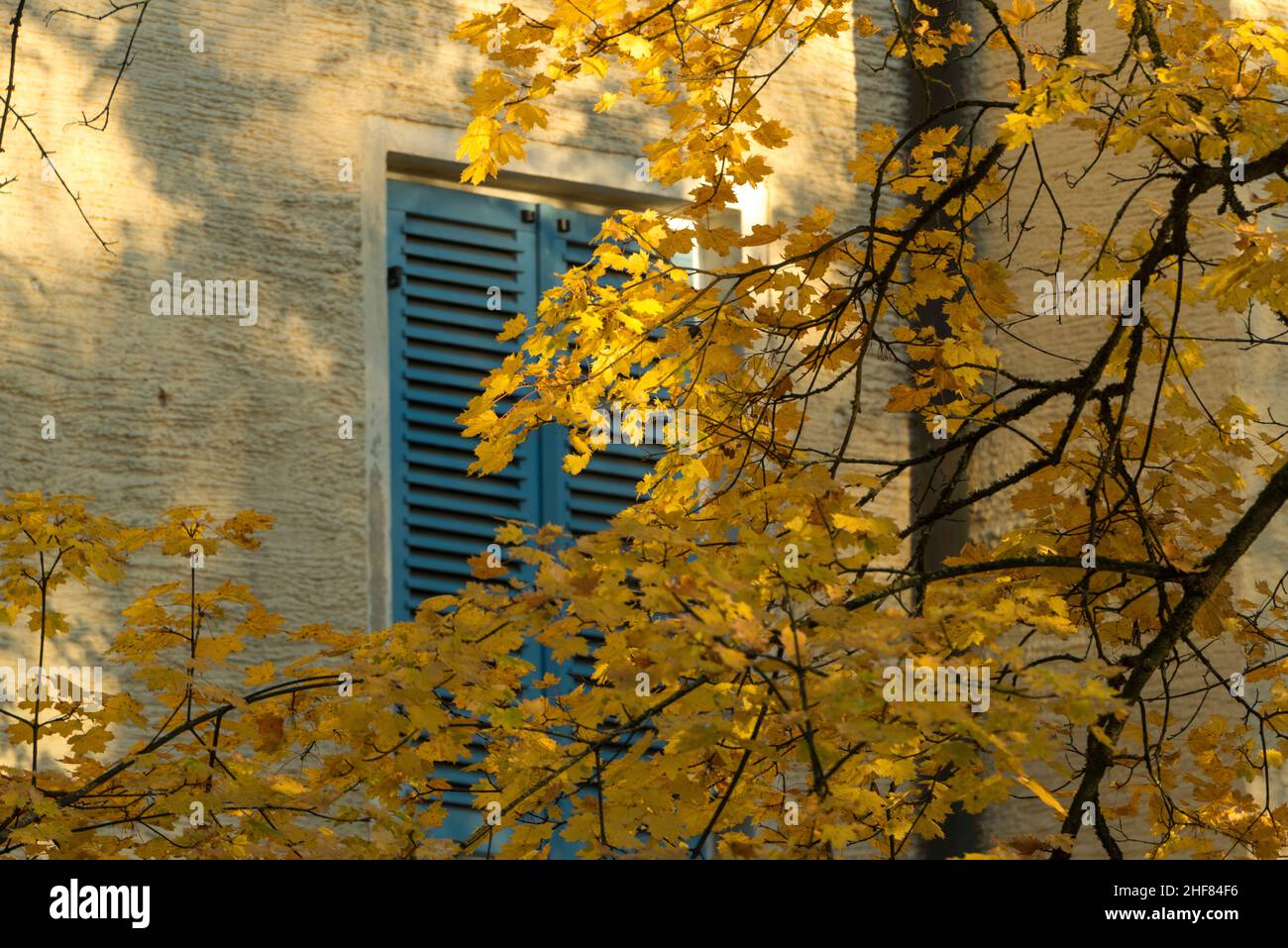 Autunno in città, foglie colorate, architettura Foto Stock