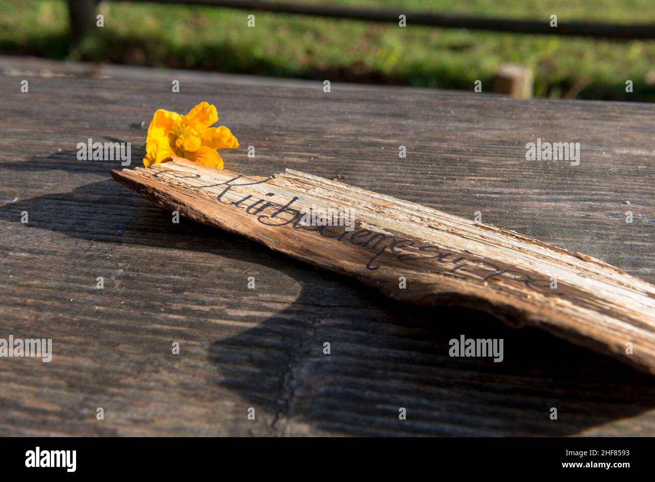 Tavola in legno, pascoli alpini, fiori, grafia Foto Stock