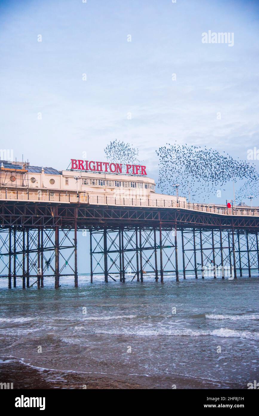 La murmurazione di Starling sul molo di Brighton all'inizio del 2021 è stata presa in una giornata trascorsa. Foto Stock