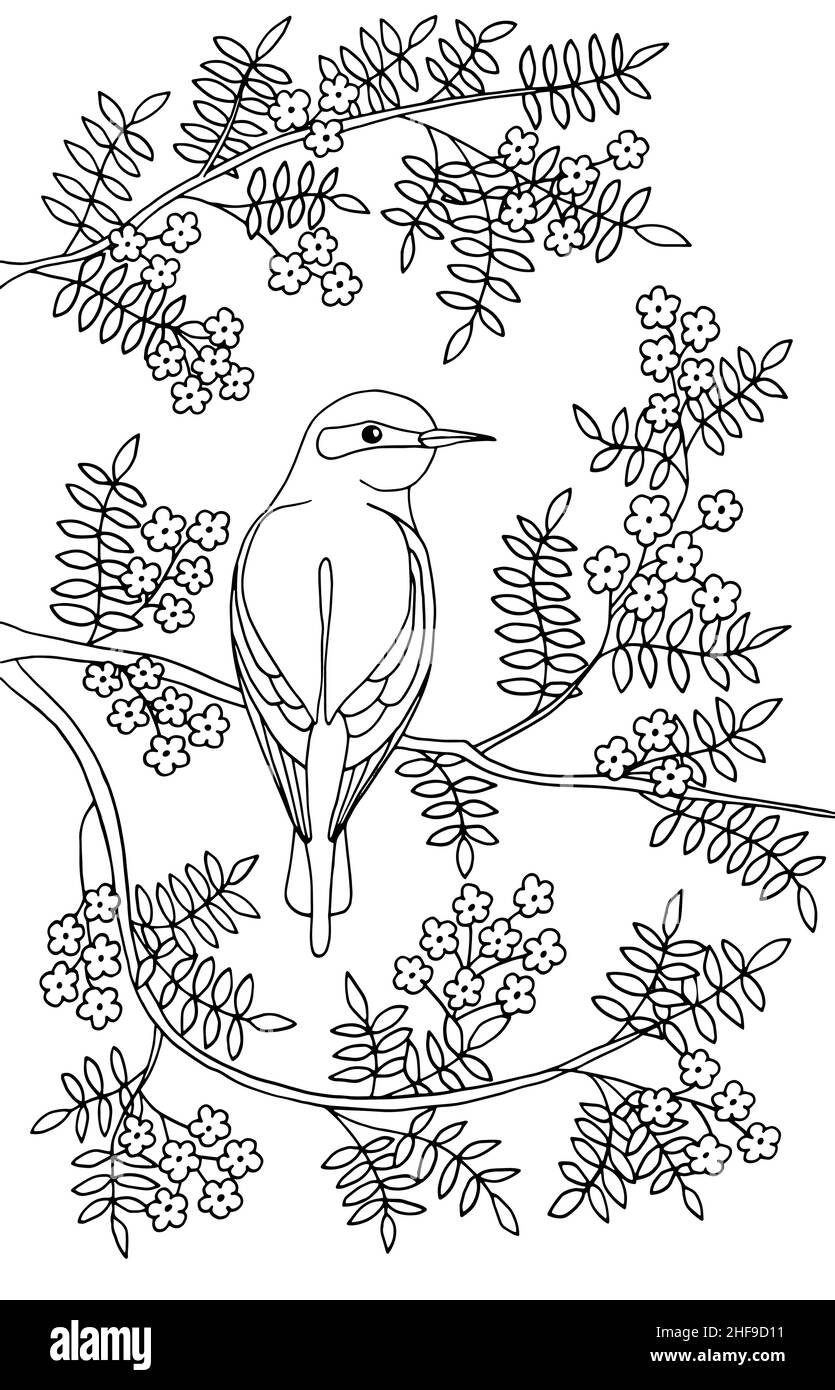 Un uccello bello è seduto su un ramo di un albero fiorente in fiori. Pagina da colorare per bambini e adulti. Illustrazione vettoriale. Illustrazione Vettoriale