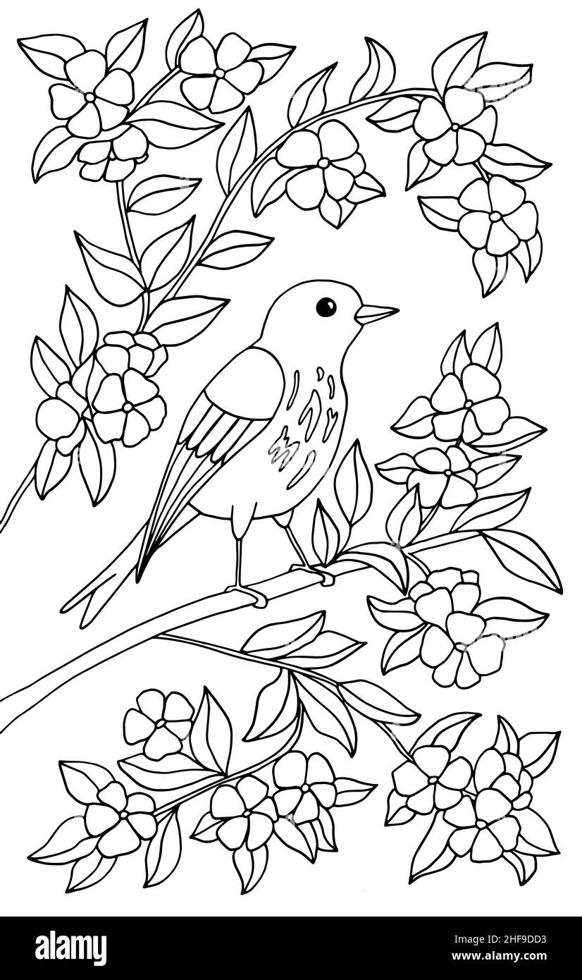 Un uccello bello è seduto su un ramo di un albero fiorente in fiori. Pagina da colorare per bambini e adulti. Illustrazione vettoriale. Illustrazione Vettoriale