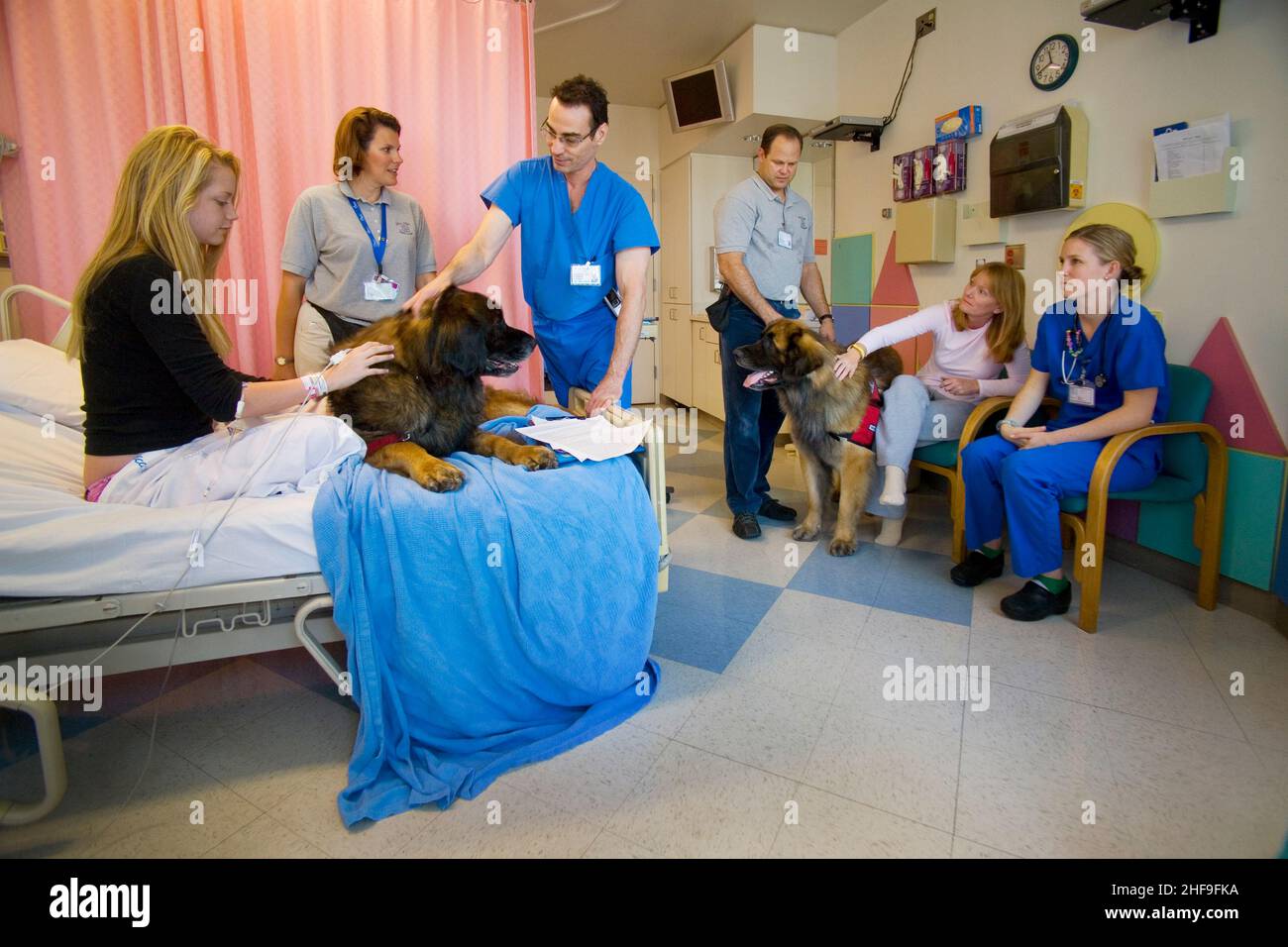 Una bambina di 15 anni, un paziente in un ospedale per bambini a Mission Viejo, CA, incontra un "cane da terapia" incamiciato, appositamente addestrato per rallegrare l'ospedale pa Foto Stock