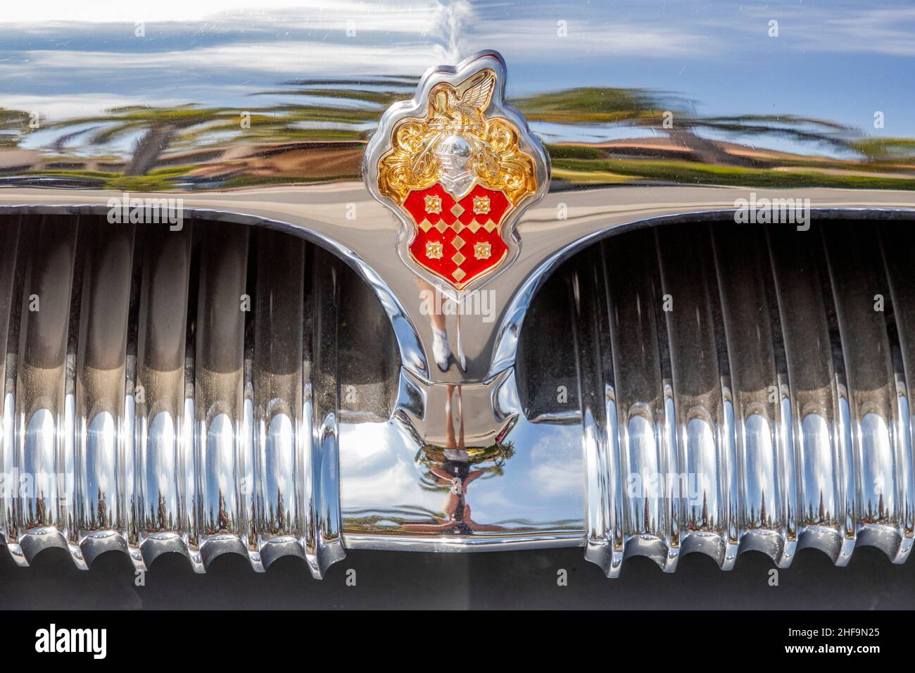 Decorando la griglia del radiatore di un'automobile classica di 1953 Packard Carribean, il logo dell'azienda include un cigno ed uno stemma. Foto Stock