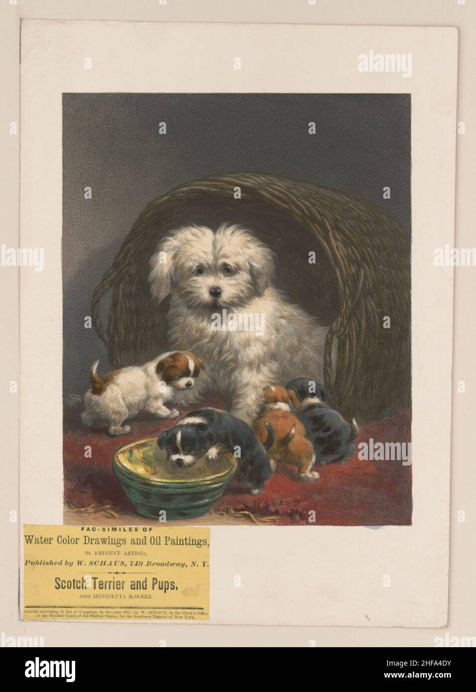 Scotch Terrier e cuccioli - dopo Henrietta Ronner. Foto Stock