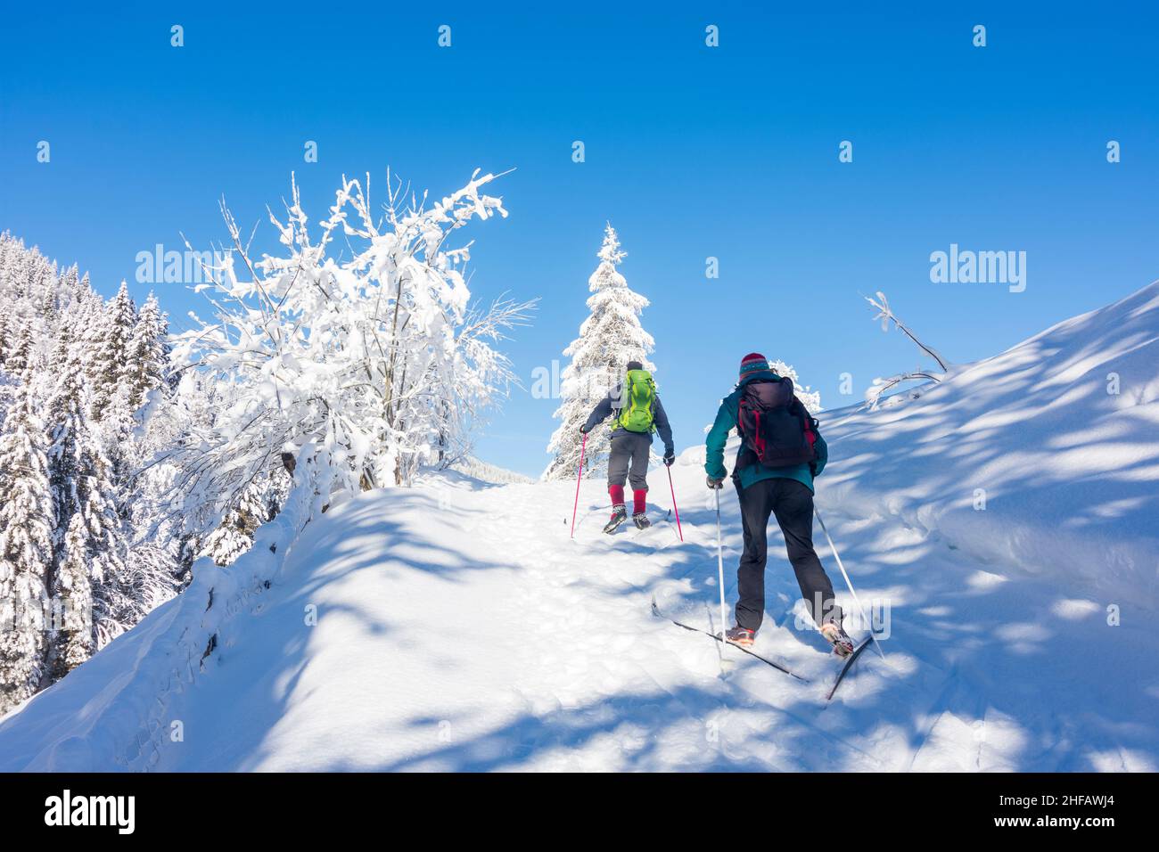 Kleinarl: Neve, hoarfrost, sci di fondo, ripida pista di sci di fondo a Pongau, Salisburgo, Austria Foto Stock