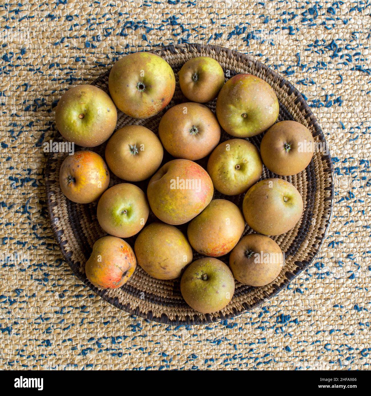 Mele da dessert Egremont Russet, di origine casalinga, in un vassoio di cesti in vimini Foto Stock